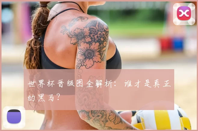 世界杯晋级图全解析:谁才是真正的黑马?