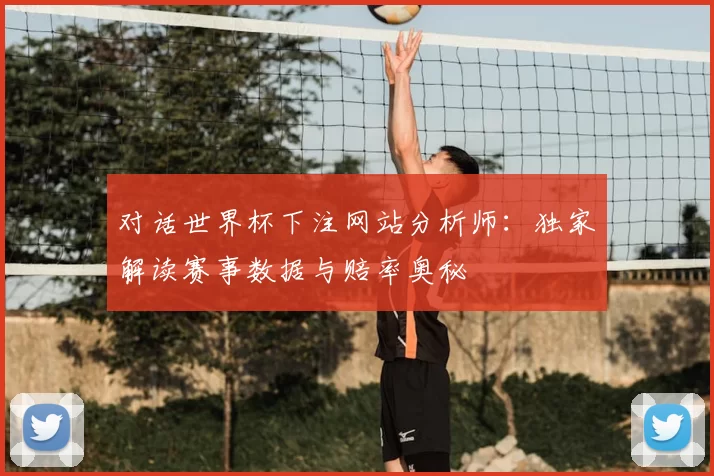 对话世界杯下注网站分析师：独家解读赛事数据与赔率奥秘