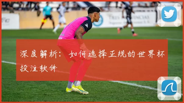 深度解析：如何选择正规的世界杯投注软件