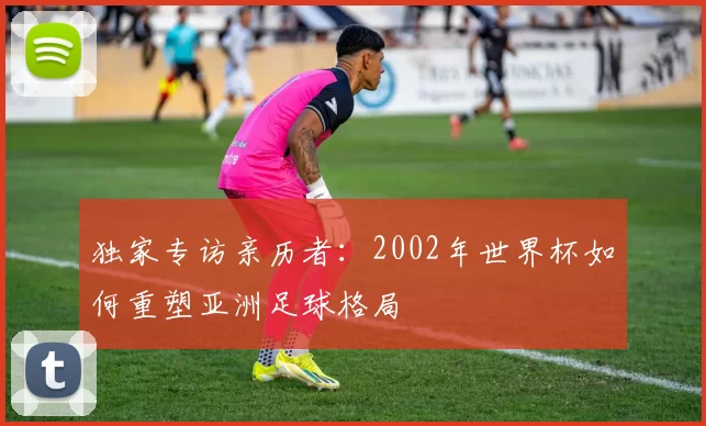 独家专访亲历者：2002年世界杯如何重塑亚洲足球格局