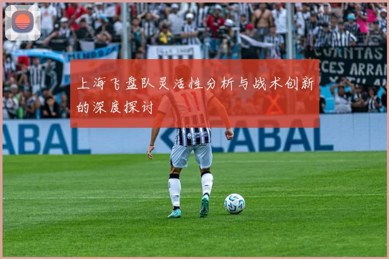上海飞盘队灵活性分析与战术创新的深度探讨