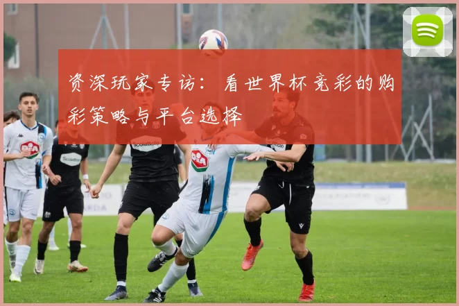 资深玩家专访:看世界杯竞彩的购彩策略与平台选择