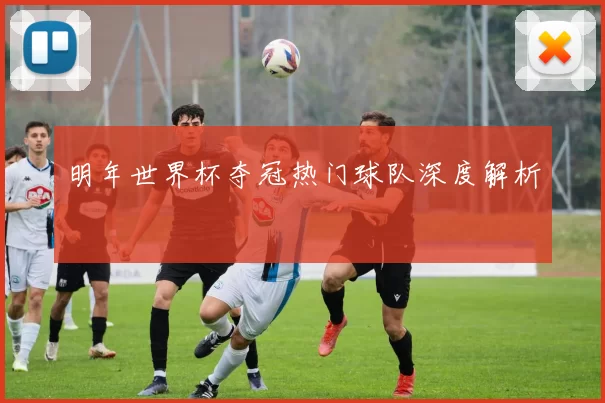 明年世界杯夺冠热门球队深度解析