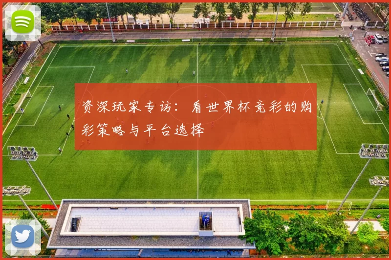 资深玩家专访：看世界杯竞彩的购彩策略与平台选择
