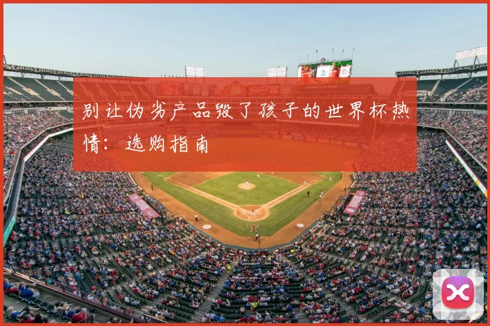 别让伪劣产品毁了孩子的世界杯热情:选购指南