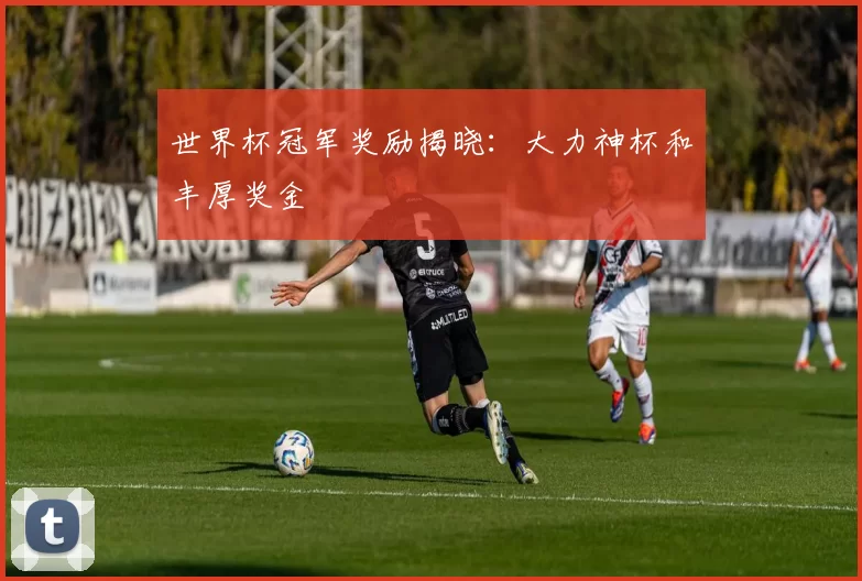 世界杯冠军奖励揭晓:大力神杯和丰厚奖金