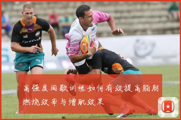 高强度间歇训练如何有效提高脂肪燃烧效率与增肌效果