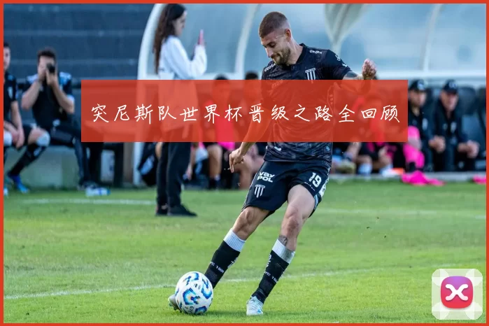 突尼斯队世界杯晋级之路全回顾