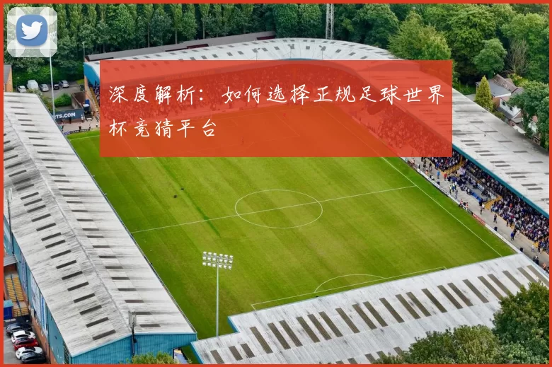 深度解析:如何选择正规足球世界杯竞猜平台