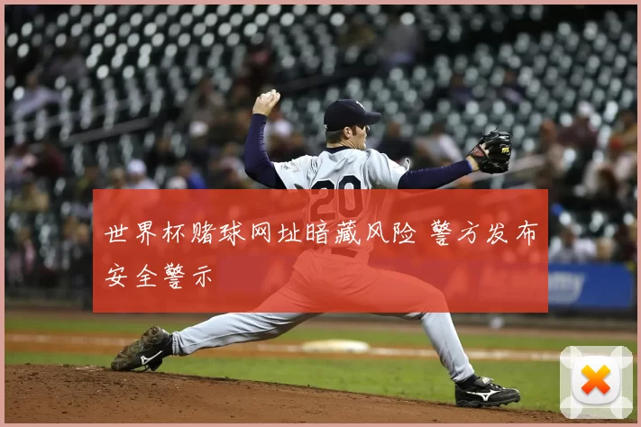 世界杯赌球网址暗藏风险 警方发布安全警示