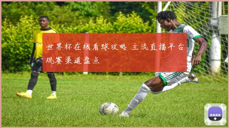 世界杯在线看球攻略 主流直播平台观赛渠道盘点