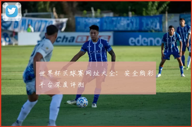 世界杯买球赛网址大全：安全购彩平台深度评测