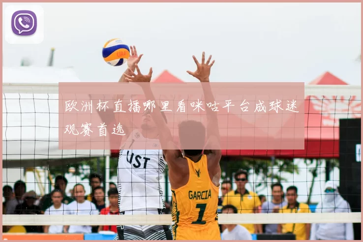 欧洲杯直播哪里看咪咕平台成球迷观赛首选