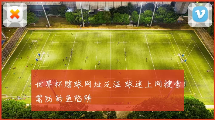 世界杯赌球网址泛滥 球迷上网搜索需防钓鱼陷阱