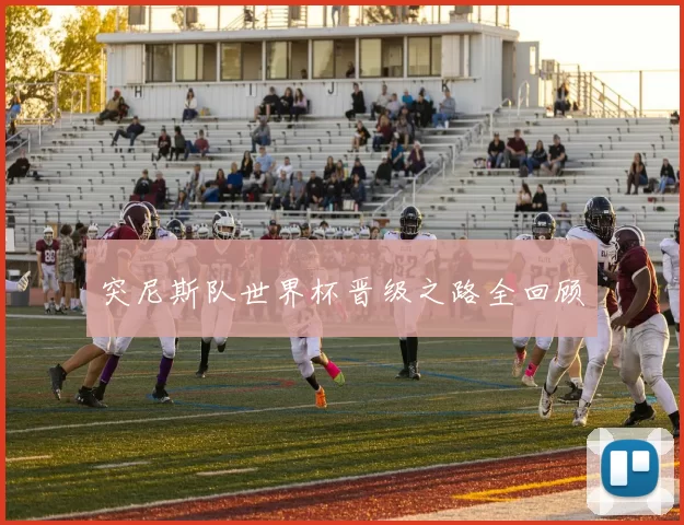 突尼斯队世界杯晋级之路全回顾