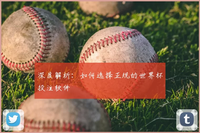 深度解析:如何选择正规的世界杯投注软件