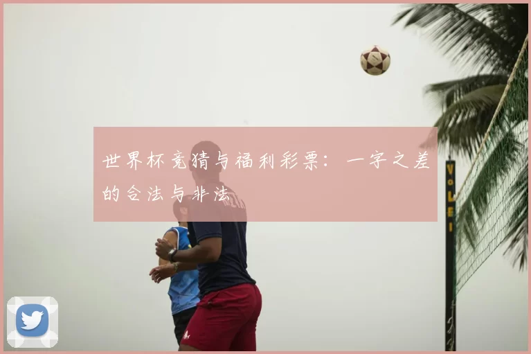世界杯竞猜与福利彩票：一字之差的合法与非法
