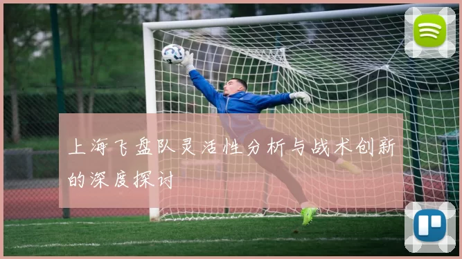 上海飞盘队灵活性分析与战术创新的深度探讨