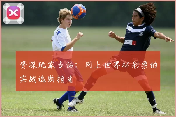 资深玩家专访：网上世界杯彩票的实战选购指南